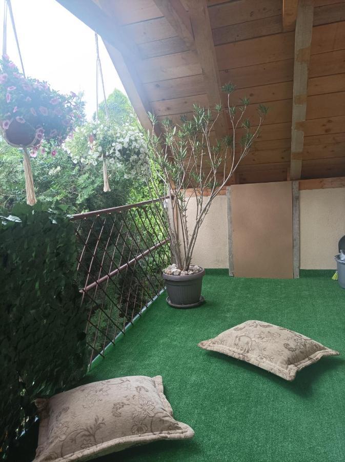 Apartmani Marija Zemun Zemun Polje Ngoại thất bức ảnh