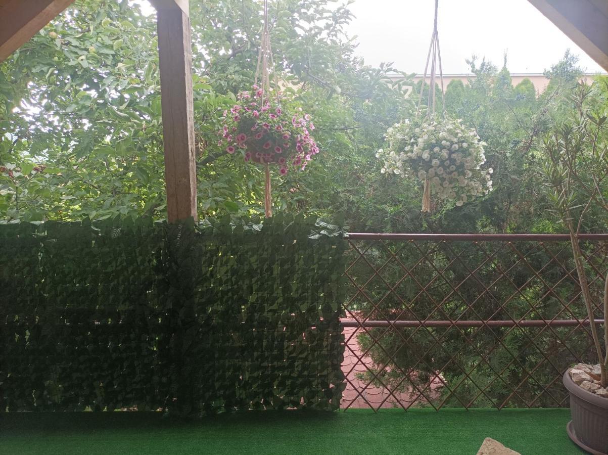 Apartmani Marija Zemun Zemun Polje Ngoại thất bức ảnh